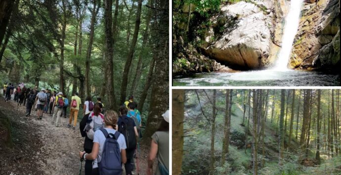 Da Serra San Bruno a Pietracupa vecchia, l’escursione alla scoperta del piccolo borgo fantasma