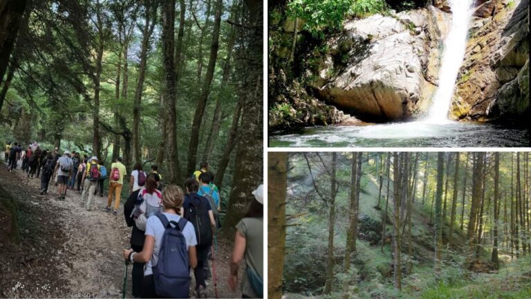 Da Serra San Bruno a Pietracupa vecchia, l’escursione alla scoperta del piccolo borgo fantasma