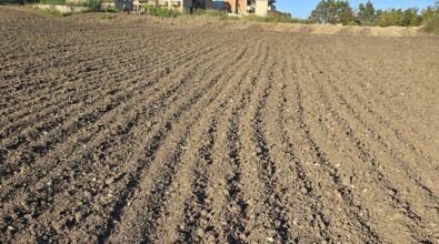 Mileto, proprietari di terreni agricoli sul piede di guerra per il pagamento dell’Imu: «Il Comune non rispetta la legge regionale»