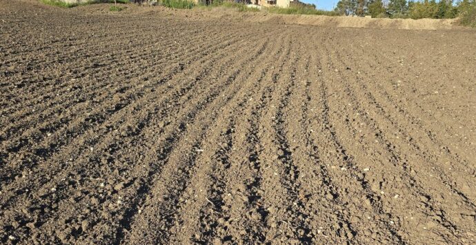 Mileto, proprietari di terreni agricoli sul piede di guerra per il pagamento dell’Imu: «Il Comune non rispetta la legge regionale»