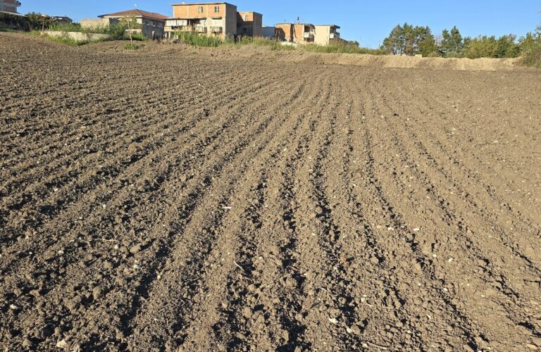 Mileto, proprietari di terreni agricoli sul piede di guerra per il pagamento dell’Imu: «Il Comune non rispetta la legge regionale»