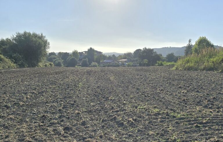 Mileto, prosegue la protesta dei proprietari di terreni agricoli costretti al pagamento dell’Imu