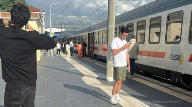 Ancora disagi per chi viaggia in treno verso la Calabria: a causa di un albero fermo per ore un Intercity diretto a Reggio