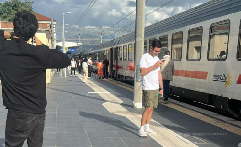 Ancora disagi per chi viaggia in treno verso la Calabria: a causa di un albero fermo per ore un Intercity diretto a Reggio