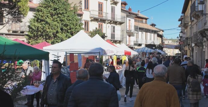 Non solo funghi, Serra ha celebrato la giornata della castagna e del vino. Il sindaco Barillari: «Grazie ai nostri boschi siamo l’anima verde della Calabria»