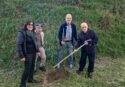 Mileto, nella Giornata degli alberi piantati 18 cipressi toscani e 42 viburni lucidi