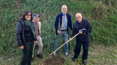 Mileto, nella Giornata degli alberi piantati 18 cipressi toscani e 42 viburni lucidi