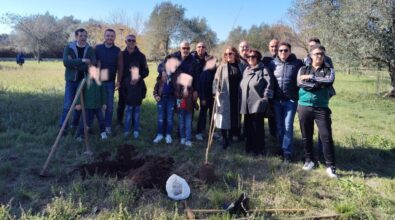 Vibo: dopo il successo della Festa dell’Albero l’associazione Moderata Durant guarda oltre il quartiere per nuove iniziative civiche