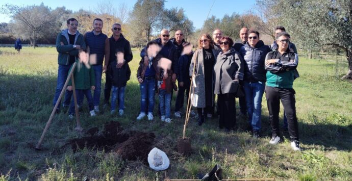 Vibo: dopo il successo della Festa dell’Albero l’associazione Moderata Durant guarda oltre il quartiere per nuove iniziative civiche