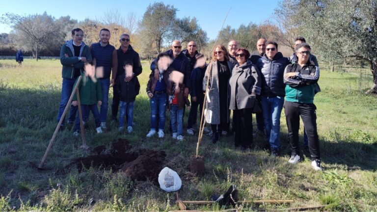 Vibo: dopo il successo della Festa dell’Albero l’associazione Moderata Durant guarda oltre il quartiere per nuove iniziative civiche