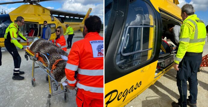 Parghelia, 74enne cade in casa e si ferisce: interviene l’elisoccorso