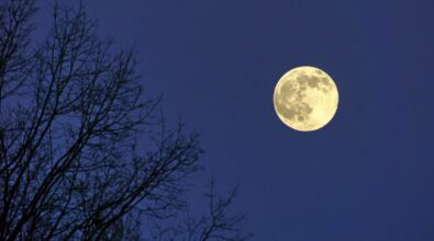 Occhi al cielo, arriva lo spettacolo della superluna del castoro: ecco cos’è e come vederla