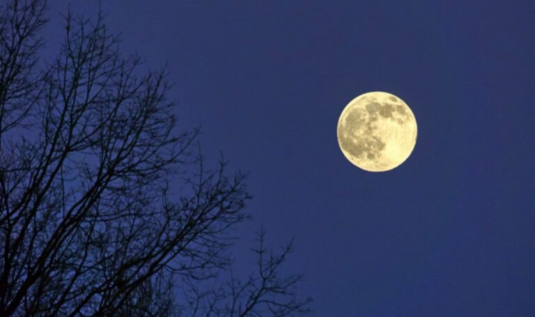 Occhi al cielo, arriva lo spettacolo della superluna del castoro: ecco cos’è e come vederla