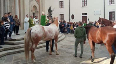 A Mileto la Giornata del ringraziamento: il vescovo Nostro benedice i lavoratori dei campi, mezzi agricoli e animali radunati in piazza