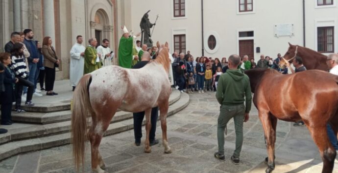 A Mileto la Giornata del ringraziamento: il vescovo Nostro benedice i lavoratori dei campi, mezzi agricoli e animali radunati in piazza