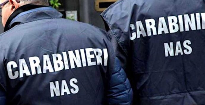 Controlli alimentari di Siam e Nas a Serra San Bruno: 6 ristoratori sanzionati e 300 chili di cibo non tracciato sequestrato