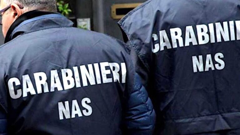 Controlli alimentari di Siam e Nas a Serra San Bruno: 6 ristoratori sanzionati e 300 chili di cibo non tracciato sequestrato