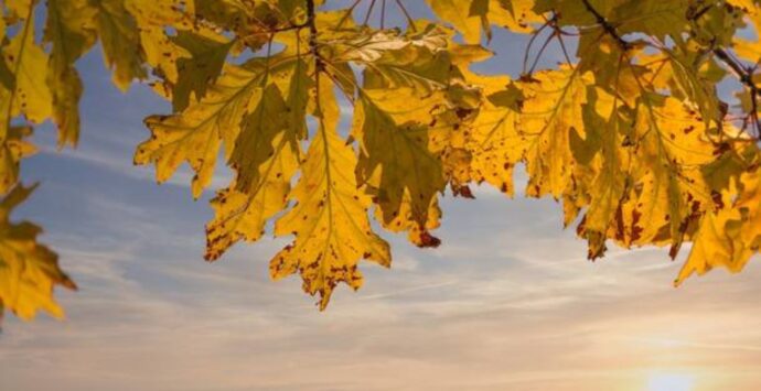 Meteo Vibonese, nel week end nubi sparse ma niente pioggia e più freddo: temperature in calo