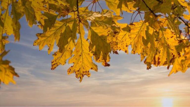 Meteo Vibonese, nel week end nubi sparse ma niente pioggia e più freddo: temperature in calo