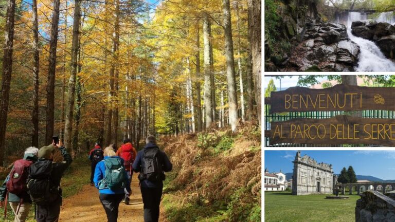 Il Parco delle Serre compie vent’anni: 18mila ettari nel cuore della Calabria scrigno di bellezze naturali e biodiversità