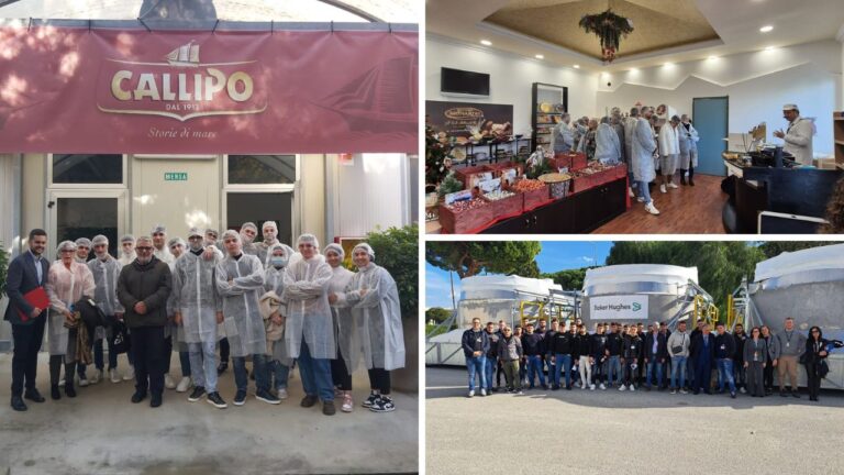 La scuola incontra il mondo del lavoro, oltre 200 studenti in visita nelle piccole e medie imprese vibonesi