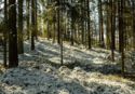 Nel Vibonese vigilia di Natale con pioggia e neve (in montagna), migliora il 25 ma il freddo resterà. Qualche fiocco anche in collina