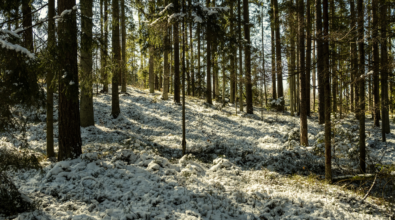 Nel Vibonese vigilia di Natale con pioggia e neve (in montagna), migliora il 25 ma il freddo resterà. Qualche fiocco anche in collina