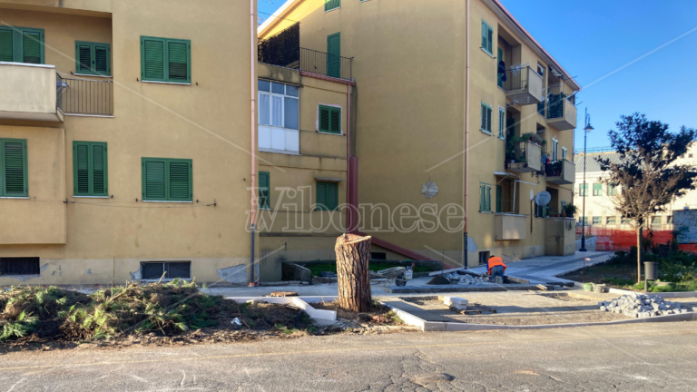 Vibo, da “giardino sul mare” che fu all’odierna strage di alberi: possibile che nessuno potesse essere salvato?