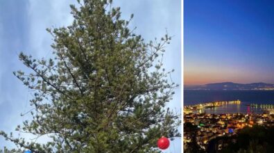 Un Grinch rovina il Natale a Vibo Marina: vandalizzato l’albero che illuminava il lungomare