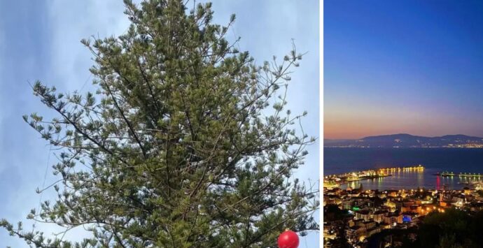 Un Grinch rovina il Natale a Vibo Marina: vandalizzato l’albero che illuminava il lungomare