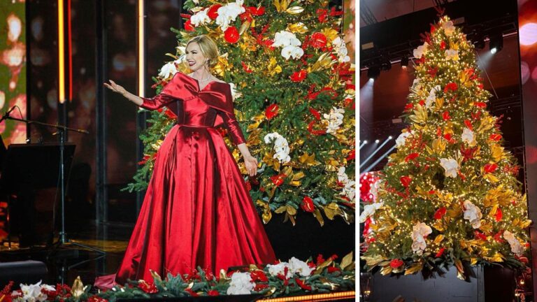 I fiori coltivati a Vibo approdano sul palco del Concerto di Natale in Vaticano