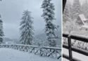 È un bianco Natale in Calabria: neve e paesaggi magici sulle cime più alte della regione – VIDEO