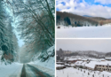 Natale fiabesco sulle Serre vibonesi: la neve imbianca boschi e centri montani – FOTO e VIDEO