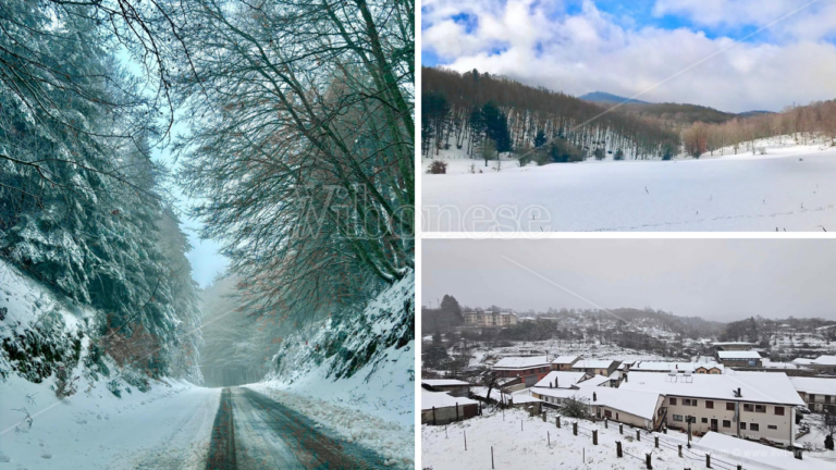 Natale fiabesco sulle Serre vibonesi: la neve imbianca boschi e centri montani – FOTO e VIDEO