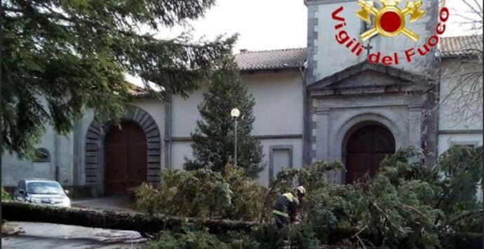 Maltempo nel Vibonese: la furia del vento abbatte un albero davanti alla Certosa di Serra San Bruno