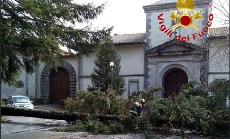 Maltempo nel Vibonese: la furia del vento abbatte un albero davanti alla Certosa di Serra San Bruno