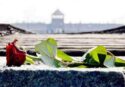 Zambrone, il Comune si appresta a celebrare la Giornata della memoria in ricordo delle vittime della Shoah e delle persecuzioni razziali