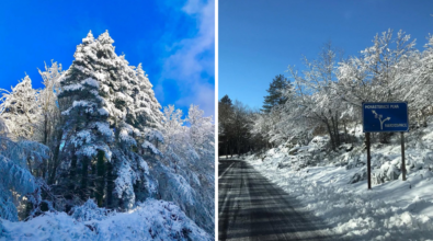 La neve continua a cadere sui monti vibonesi, mezzi in azione sulla strada tra Mongiana e Nardodipace – VIDEO/FOTO