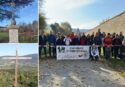 Dalla nascita della Certosa all’albero dei tre allampati, con l’associazione Vivi Serra San Bruno un 2025 alla scoperta della storia del territorio