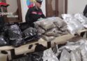 Blitz antidroga a Gioia Tauro, sequestrati 80 chili di marijuana e materiale pirotecnico