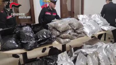 Blitz antidroga a Gioia Tauro, sequestrati 80 chili di marijuana e materiale pirotecnico – VIDEO