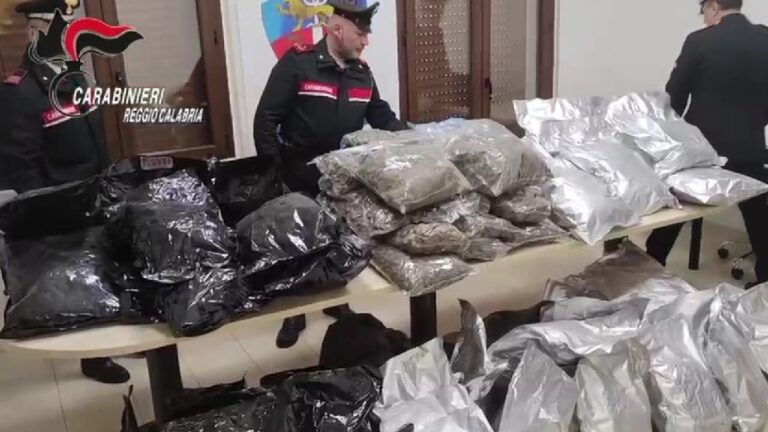 Blitz antidroga a Gioia Tauro, sequestrati 80 chili di marijuana e materiale pirotecnico – VIDEO