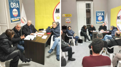 Vibo, il M5s sprona l’assessore Monteleone: «Sull’ambiente non facciamo sconti a nessuno, evitare il taglio indiscriminato degli alberi»