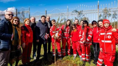 Vibo, l’assessore Miceli tira le somme dell’adesione alla campagna M’illumino di meno: «La città ha risposto con grande sensibilità»