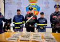 Sorpreso tra Pizzo e Sant’Onofrio con 22 kg di cocaina nascosti in un vano segreto sotto il sedile dell’auto