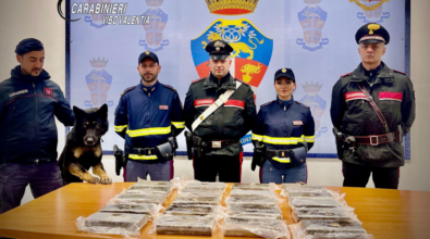 Sorpreso tra Pizzo e Sant’Onofrio con 22 kg di cocaina nascosti in un vano segreto sotto il sedile dell’auto