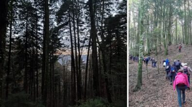 Trekking, l’associazione Vivi Serra San Bruno alla scoperta del tratturo borbonico