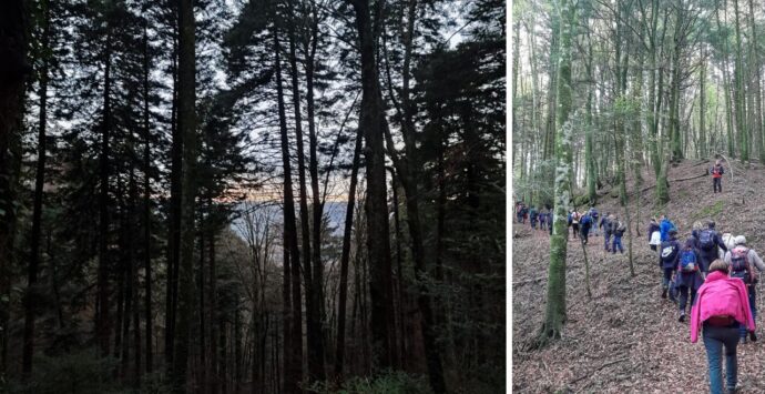 Trekking, l’associazione Vivi Serra San Bruno alla scoperta del tratturo borbonico