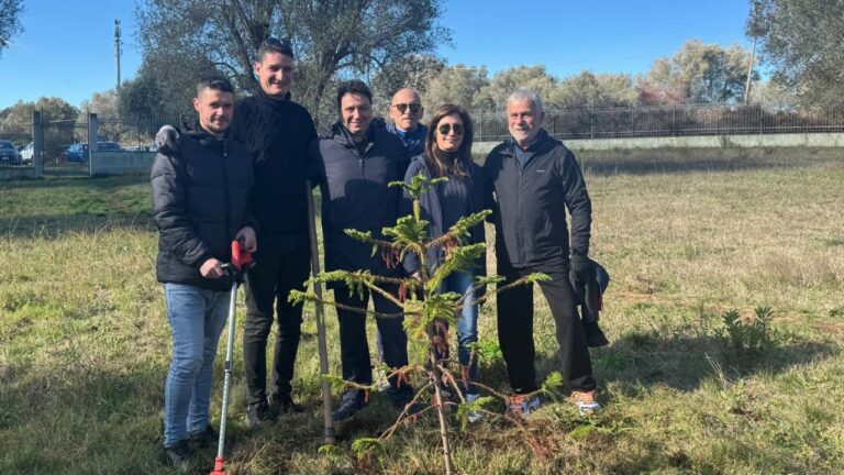 Vibo diventa più verde, 32 nuovi alberi piantati grazie all’iniziativa del Comune