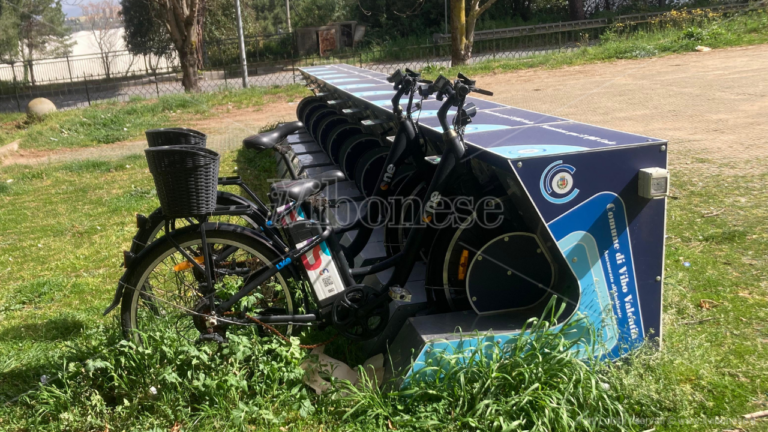 Il bike sharing a Vibo è uno scempio a cielo aperto: bici sparite o tra i rovi per un servizio pagato e mai entrato in funzione